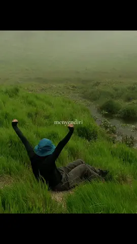 #foggy #naturevibes 