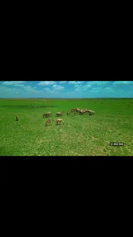 #punlandar___🇸🇱 #somali #isseisse #dhaqansoomaali #miyi 