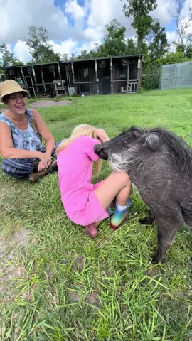 Winnie making friends#tiktok #Love #musically #memes #follow #like #viral #trending #funny #music #video#Qcomedy #dance #cute #explorepage #wallacewahog #warthog #pets #animals #nature #Love #community #friends#rescueanimals#harmony#sanctuary#SafariLife#NatureVibes#WildlifePhotagraphy#AnimalKingdom#WildlifeWatch#SavannahSights#TikTokWildlife#AnimalRescue#rescueanimals#AnimalHeroes#SaveALife#AnimalWelfare#TikTokRescue#AnimalTherapy#TherapyAnimals#EmotionalSupportAnimal#PetTherapy#AnimalAssistedTherapy#TherapyPets#HealingWithAnimals#ComfortAnimals#AnimalLove#MentalHealthSupport#PetLove#Nonprofit#Charity#CommunityServive#SocialImpact#VolunteerWork#Humanitarian#Philanthropy#willow#winnie#MakeADifference 	•	