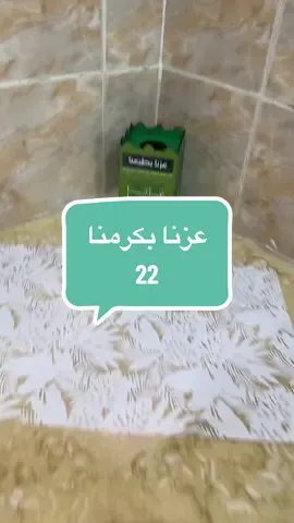 اسكريم #اسكريم #حلى #صيف#مطبخ_ماما_دوسه_👩🏾‍🍳 #اليوم_الوطني_السعودي_95 