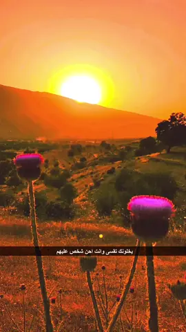 #ابونايف #N❤️ #بدو #الاردن🇯🇴_فلسطين_🇵🇸سوريا #اكسبلور 