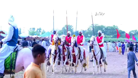 Ya Kn Sa Group Ha #umarphotography #naizabazi #tentpeggging🐎 #horse #fyp 