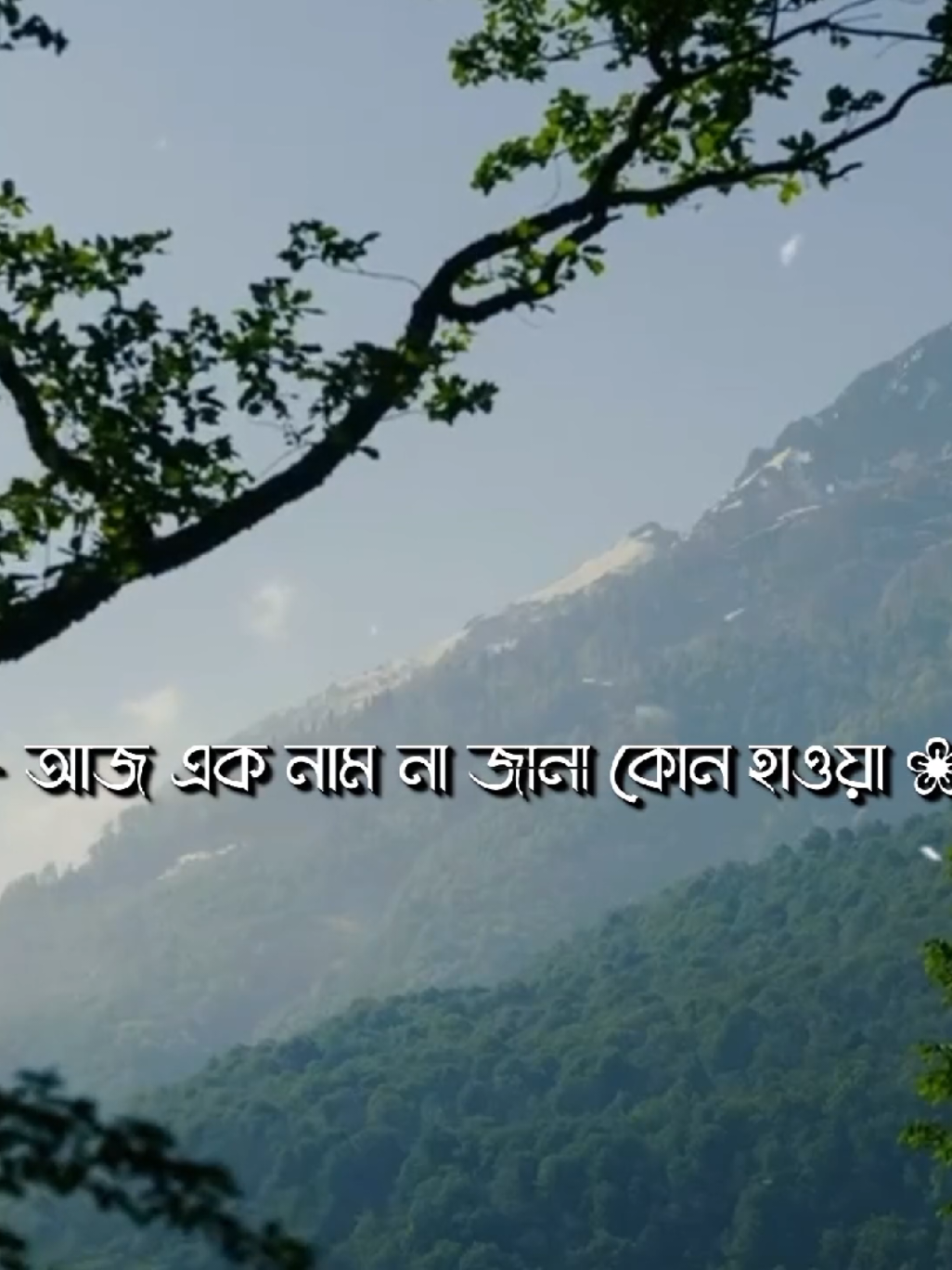 Feel This Song 🖤🎧 #foryou #foryoupage #fyp #lyrics_songs #bd_lyrics_society @TikTok Bangladesh @TikTok 