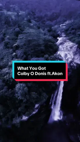 #whatyougot #akon #lyric #songlyrics #songtrend 