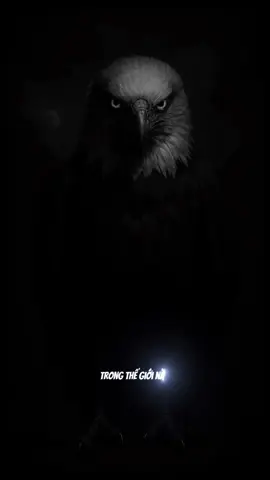 “Bạn có nge Đại Bàng hót bao giờ chưa??? #xuhuong #xuhuongtiktok #tamtrang #tamtrangcuocsong 