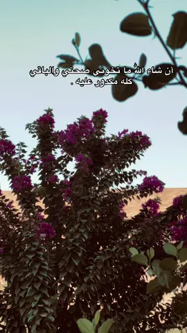 أن شاء اللّٰه ما تخوني صحتي والباقي كله مكدور عليه . #الانبار #العراق #الكرمة #explore #fyp 