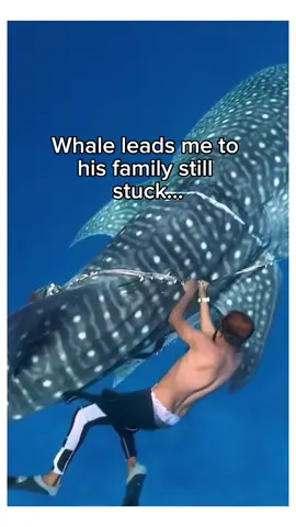 The ocean thanked them🥹 #wholesome #animals 