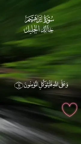 #خالد_الجليل #قران #بشار_القطيبي #تلاوات #قران_بصوت_يخشع_القلب 