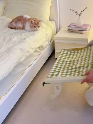 Purrloft: Cozy Luxury for Cats | Free Shipping & 50% Off!