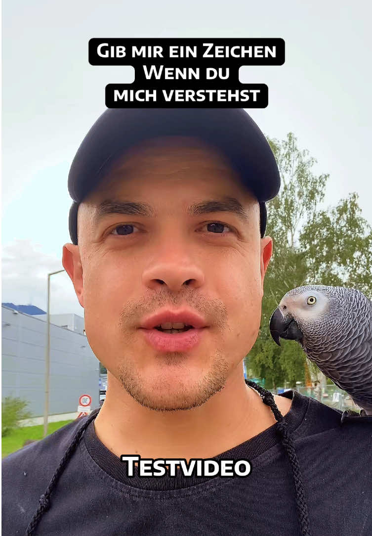 Test Test 123 Test #deutsch #tiktokdeutschland #german 