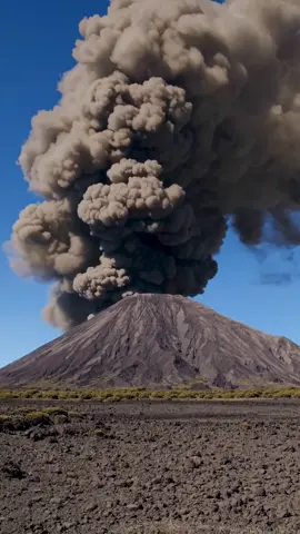 #مليون_مشاهدة #مشاهير_تيك_توك #لايك_متابعه_اكسبلور 