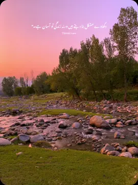 جس طرح پھول کا تعارف اس کی خوشبو سے ہوتا ہے ،اسی طرح انسان کا تعارف اس کے کردار سے ہوتا ہے! 🩶 #foryoupage #care #urromeo11 #unfreez #veiwsproblem 