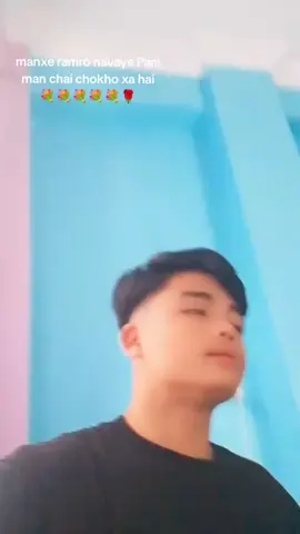 #creatorsearchinsights 