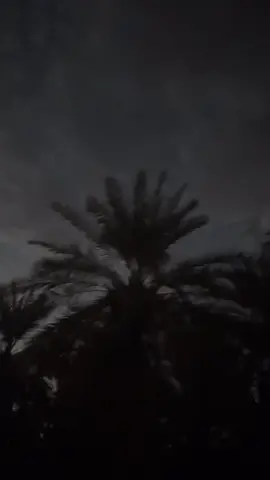 #مالي_خلق_احط_هاشتاقات 