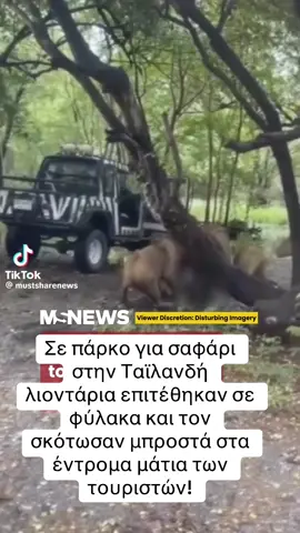 Ένα λιοντάρι επιτέθηκε από πίσω στον φύλακα και τον άρπαξε με αποτέλεσμα να τον σκοτώσουν θανάσιμα μπροστά στα έντρομα μάτια των επισκεπτών οι οποίοι κόρναραν μέσα από τα αυτοκίνητα τους στην προσπάθεια τους να αποτρέψουν τα λιοντάρια από το να συνεχίσουν να του ξεσκίζουν τις σάρκες! Το πάρκο έκλεισε και διεξάγεται έρευνα για την ασφάλεια του! #news #christiannajournalist 