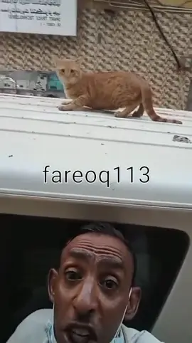 #عمان #الشعب_الصيني_ماله_حل😂😂 #oman #البحرين #عابر_القارات🔕 