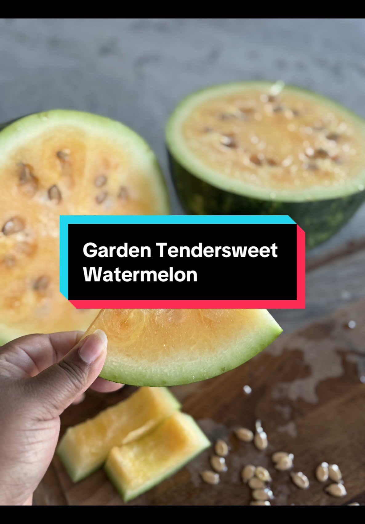 The smacking…🤣🤣🤣  Yall this watermelon is perfect! Sweet and juicy! This is a tendersweet watermelon. 10/10 #watermelon #garden #growingwatermelon #juicy #sweet