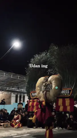 hahehooo @MAS FANN🐆#ponorogo #reogponorogo #ponorogo_kota_reog #reogponorogoindonesia 