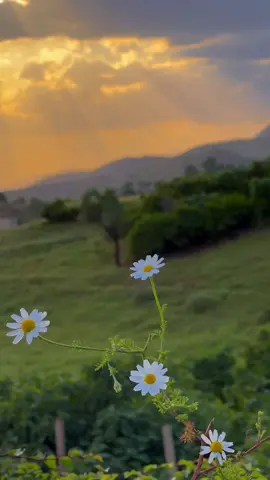 Di her dilekî de, çîrokek heye...” ❤️‍🩹🌄#kürtçeşarkılar #kurdish #denizesmer #günbatımı  #mezopotamya  #anlamlısözler #duygusalvideolar #demsal #fypシ゚ #virall #videoviral  #viraltiktok #keşfetbeniöneçıkar   #keşfetteyizzz 