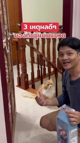 เหตุผลมากมาย แต่ขอยกมา 3 ข้อนี้ ว่าทำไมควรเปลี่ยนมาใช้ทิชชู่แบบแขวน #ทิชชู่ยกลัง #3เหตุผล #ทิชชู่ #กระดาษทิชชู่ #ทิชชู่แบบแขวน 