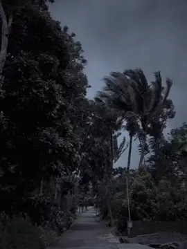 #لايك_متابعه_حركة_الاكسبلور❤🦋explorer #تصويري_احترافي_الاجواء👌🏻🕊😴 #الشعب_الصيني_ماله_حل😂😂 