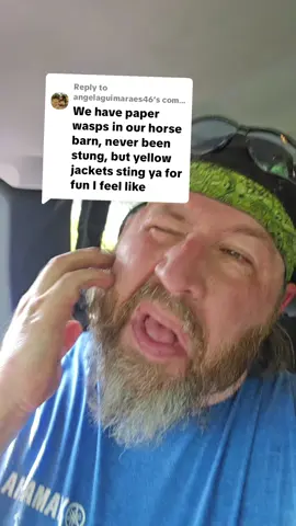 Replying to @angelaguimaraes46 #papercraft #nature #hornet #whiteriverrambo 