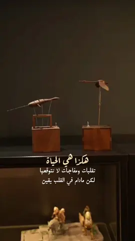 أحيانا أشياء صغيرة يمكن أن تصلح أرواحنا المتعبة أن تمنح قلوبنا الأمان وتجعلنا نتفائل رغم ضجيج الحياة 