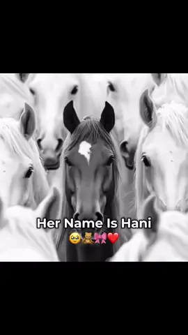 Magaceeda🥹🧸💕 #everyone #tag #alhamdulillah #viral #fypシ゚ 