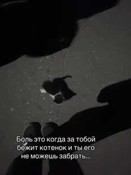 #котенок #глобальныерекомендации #рекомендации #fyp Иде из рекомендаций