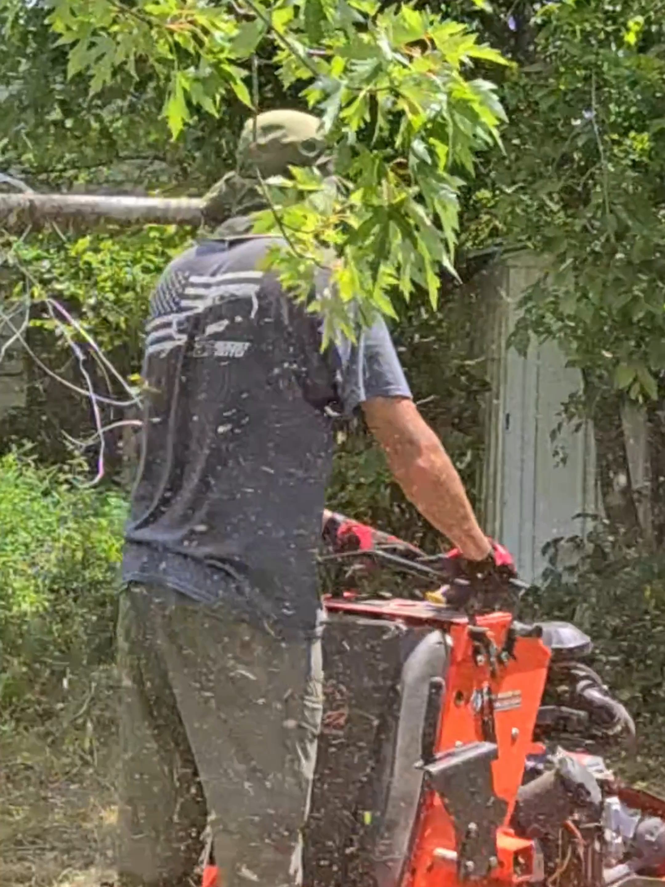 SWARMED But Still Got It 🐝✅