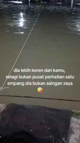 jika aku kalah di tampang bole lah kita uji skil di kolam 😋🤪#fyp #mancing #mancingikan #mancinggalapung #galapung 
