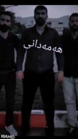 اقا- وحيد-مرادي-البطل -وحش-ايران -نسر-عقاب روحت-شاد -زعيم-مافيا -الوحش المصمم 🔥🦅