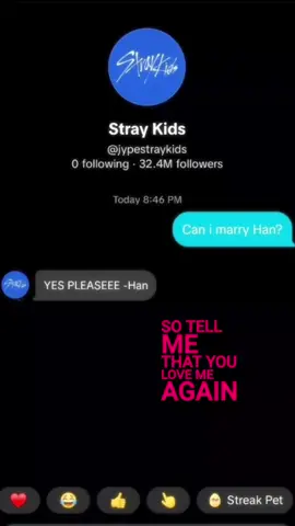 @Stray Kids | #vainvitlanuntadivelemele ,#vapupahanmelissa ,#hanjisung ,#husband 
