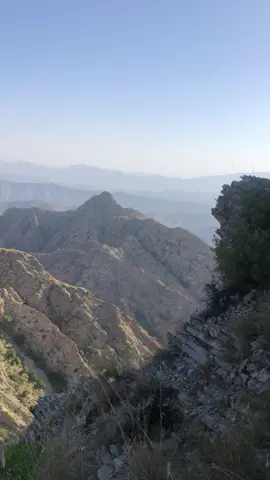 #milliebobbybrown #viralvideo #balochistan @Cadet  Zehri @Professor 🥷🏻 @⚔️Meer Ahsan Mengal⚔️ 