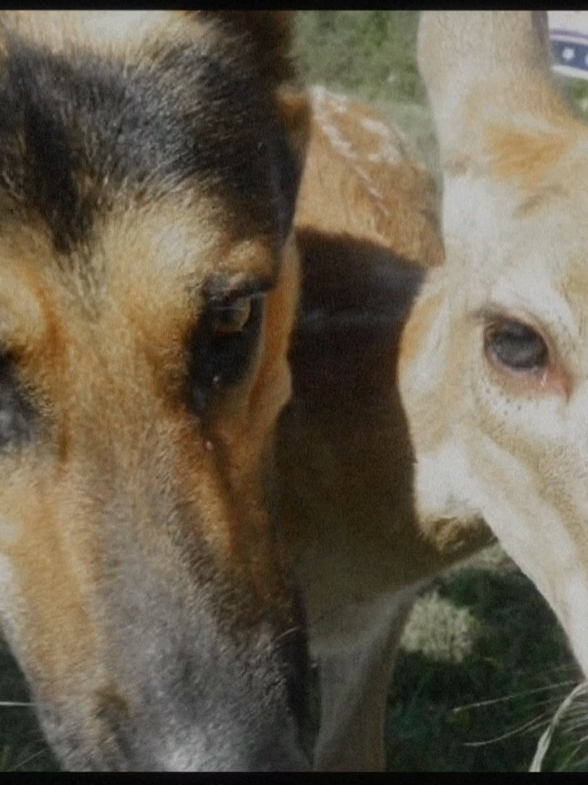 the most annoying girl you know will see two mentally ill, impulsively violent, truly selfish women and say 