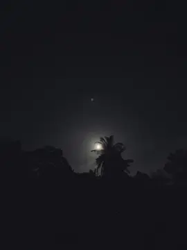 ভালোবাসলেও পারতে! কত করে বললাম' আমি তোমাকে ভালোবাসি!!🫀❤️‍🩹#aponislam2910 #foryou #foryoupage #vira #viralvideo @TikTok Bangladesh @TikTok 