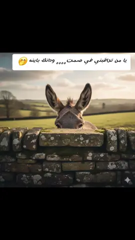 يا من تراقبني في صمت.... ودانك باينه 🤭#الشعب_الصيني_ماله_حل #foryou #fyppppppppppppppppppppppp #تريند #fyp 