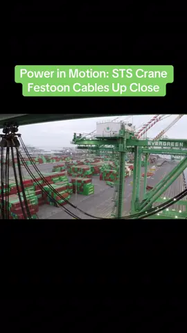 Up close look at the festoon cable system on a ship-to-shore (STS) crane. These electrical lines run on pulleys and trolleys, moving violently back and forth as the crane operates. Built tough, they deliver nonstop power and control across the dock and ship. #STSCrane #FestoonSystem #CableTrolley #IndustrialEngineering #DockLife        