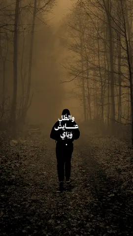 شدكول💔.. #سيد_فاقد_الموسوي 