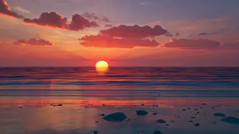 #fypdong #nature #tik_tok 