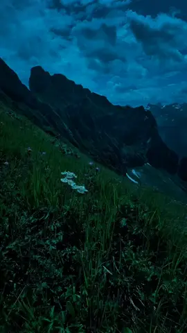 تم حضر حسابي الأساسي @𝑨𝒍𝒊 𝑵𝒂𝒅𝒉𝒊𝒓  #قران_كريم#مشاهدات 