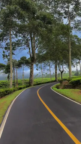 Se candu ini view nya bareng siapa …? 🍃 #ciwidey #rancabaliciwidey #bandung #jalanjalan 