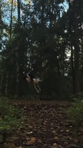 Be patient~🍃 First time doing quads properly in over a month🥀#taigascratch #quadrobics #quadrobicsjump #meme #quadrobicstutorial 