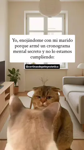 Cortinas de pelo a sólo $4500. Hacemos envios a toda 🇦🇷 . . .   #cortinasdepelo #extensionesdepelo #memes #bellezafemenina