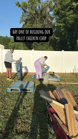 building our pallet chicken coop! #DIY #construction #homestead #chickens #garden 