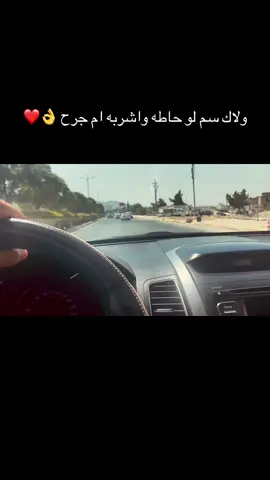 #اخاف_احجي_ويطلع_كلبي_مضمونه_ياكريزي❤️#بنت_العز❤👑 #الكريزي #الشاعره_ام_جراح #تصويري_احترافي_الاجواء👌🏻🕊😴 