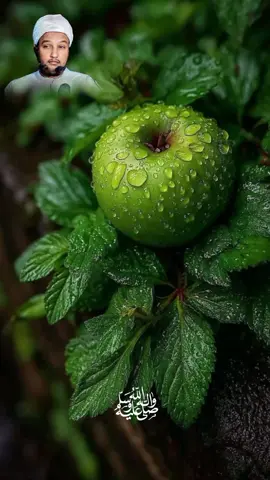 21:50 صل الله عليه وسلم صل الله عليه وسلم  @Muniir Aadan⚡ @طاهر عبد @M0haمett🍂💐 @ciisoowww♥️❤️‍🩹🇦🇿🫀 @said mo 