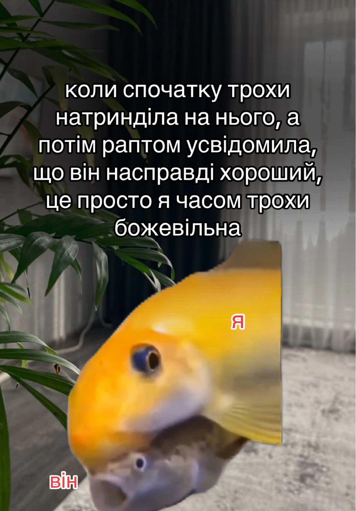 #жартипростосунки #жизажиттєва 