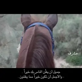 #اكسبلور #مشرف #foryou #fypage #fyp 