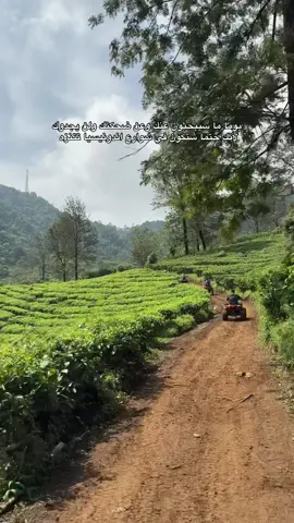 #اندونيسيا #بونشاك #بوغور #سياحة #سفر #دباب #جبل #تجربة_جميلة #atv #غيوم #جو_روعه #تنزه_في_الطبيعة 